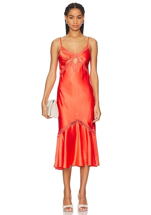 CAMI NYC Florentina Dress in Orange. Size 10, 12, 2, 4, 6, 8.