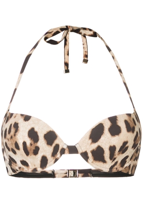 Dolce & Gabbana leopard print bikini top - Brown