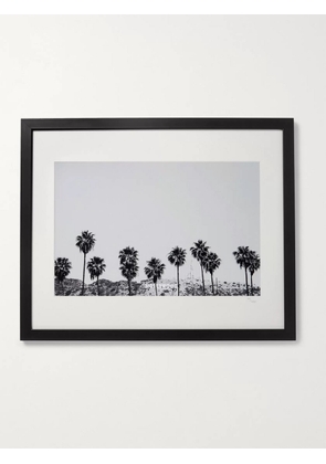 Sonic Editions - Framed 2015 Stephen Albanese Hollywood Palm Trees Print, 16&quot; x 20&quot; - Men - Black