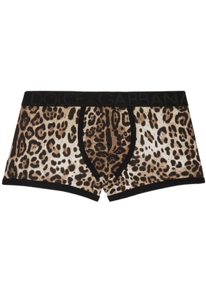 Dolce & Gabbana Beige Leopard Boxers