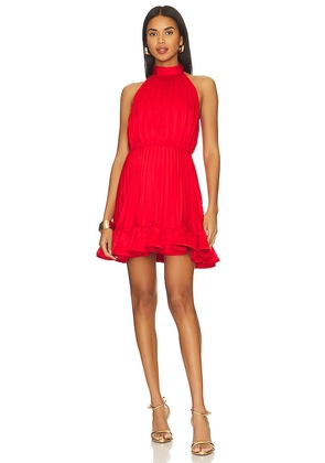 AMUR Amiri Halter Mini Dress in Red. Size 12, 6, 8.