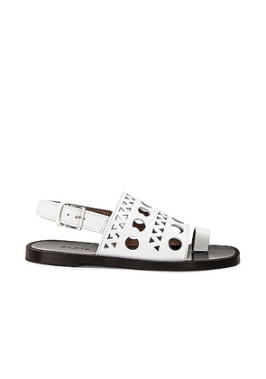 ALAÏA Perforated Flat Sandal in Blanc Casse - White. Size 37 (also in 38, 39, 40).
