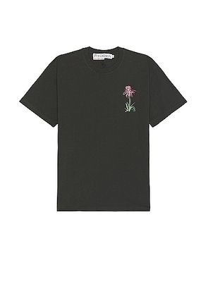 JW Anderson Pol Thistle Embroidery T-Shirt in Charcoal - Black. Size L (also in M, S, XL).