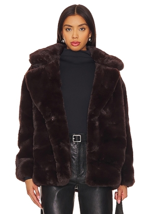 BLANKNYC Faux Fur Coat in Brown. Size M, S, XS.