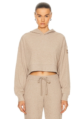 alo Muse Hoodie in Gravel Heather - Beige. Size L (also in ).