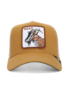 Goorin Brothers The Goat Hat in Tan.