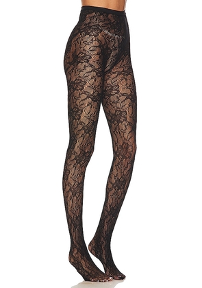 petit moments Lace Tights in Black.