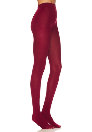 petit moments Solid Tights in Burgundy.