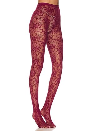 petit moments Lace Tights in Burgundy.