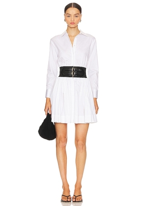 Karina Grimaldi Briar Dress in White. Size M, S, XS.