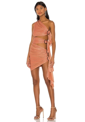 Bronx and Banco X REVOLVE Gaia Mini Dress in Burnt Orange. Size S.