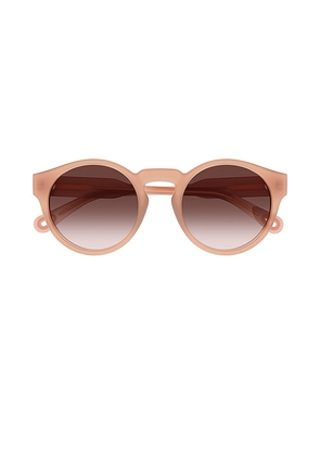 Chloe Xena Round Sunglasses in Pink.