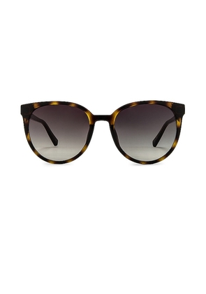 Le Specs Armada Sunglasses in Brown.