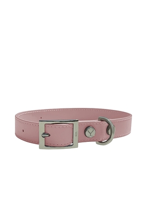 Shaya Pets The Taylor Large Collar in Pink.