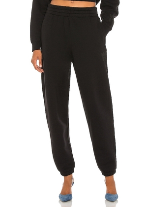 Alexander Wang Foundation Terry Classic Sweatpant in Black. Size M, S, XL.