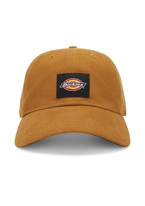 Dickies Washed Canvas Cap in Brown.