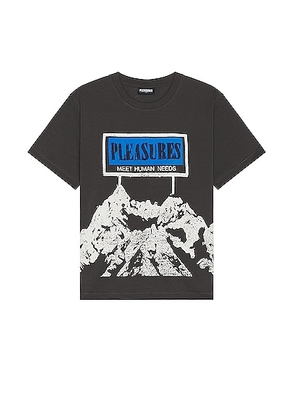 Pleasures Human Needs Heavyweight T-shirt in Grey - Grey. Size M (also in XXL/2X).