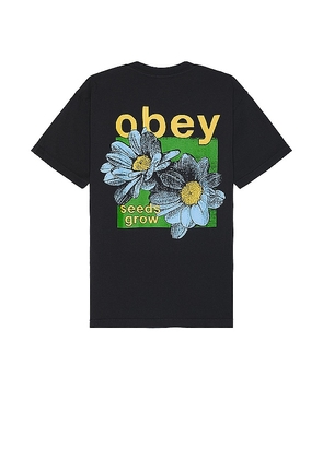 Obey Seeds Grow Tee in Black. Size M, S, XL/1X.