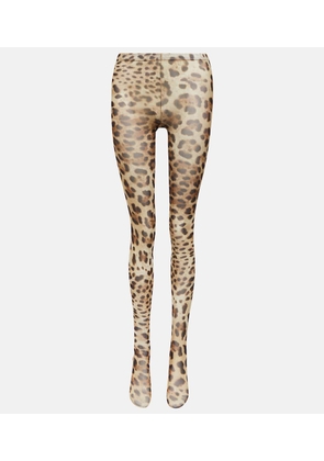 Dolce&Gabbana Leopard-print tights