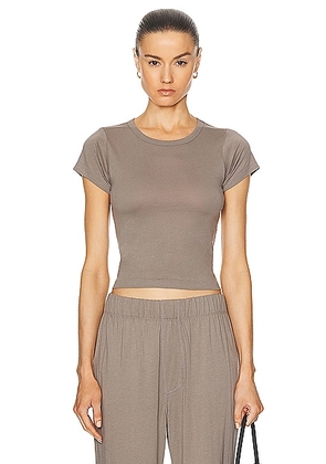 Eterne Short Sleeve Baby Tee in Clay - Taupe. Size L (also in ).