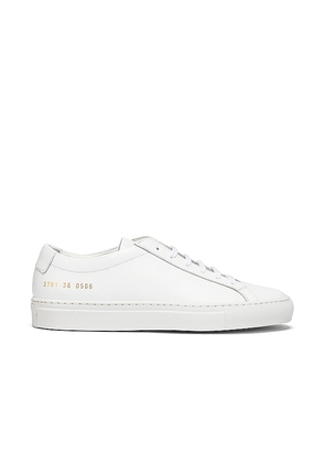 Common Projects Original Achilles Low Sneaker in White. Size 37, 38, 39, 40.