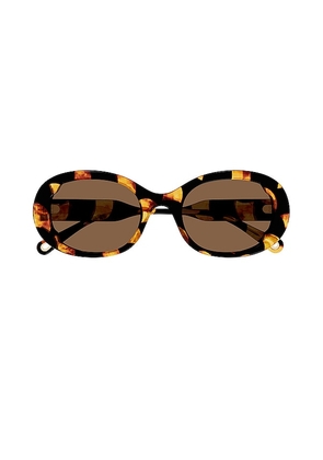 Chloe Lilli Oval Sunglasses in Brown.