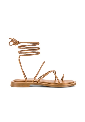 Seychelles Lilac Sandal in Brown. Size 7.5, 8.5.