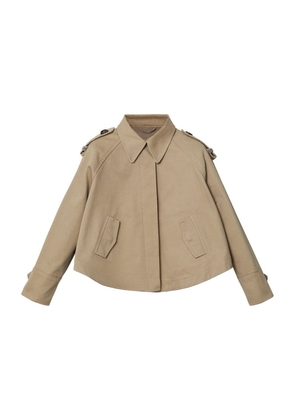 Brunello Cucinelli Kids Cotton Trench Jacket (4-12 Years)