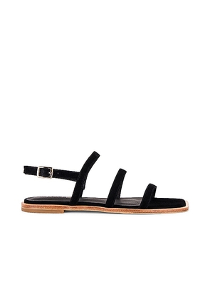 RAYE Kennedi Sandal in Black. Size 6, 6.5, 7, 7.5, 8, 8.5, 9.