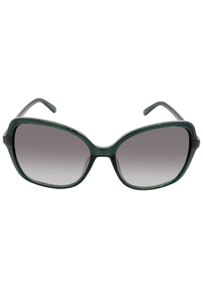 Calvin Klein Grey Gradient Butterfly Ladies Sunglasses CK19561S 360 57
