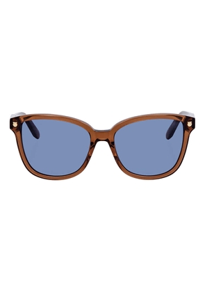 Ferragamo Blue Square Sunglasses SF815S 210 56