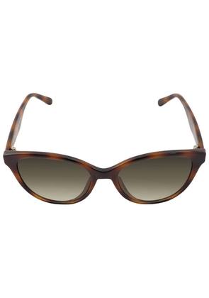 Salvatore Ferragamo Grey Gradient Butterfly Ladies Sunglasses SF1073S 240 54