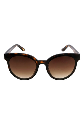 Skechers Gradient Brown Cat Eye Ladies Sunglasses SE6151 52F 60