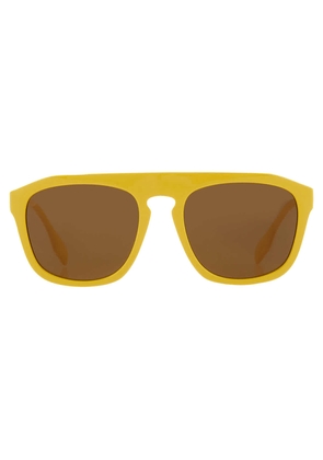 Burberry Wren Brown Browline Mens Sunglasses BE4396U 407073 57