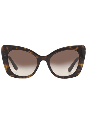 Dolce and Gabbana Gradient Brown Butterfly Ladies Sunglasses DG4405 502/13 53