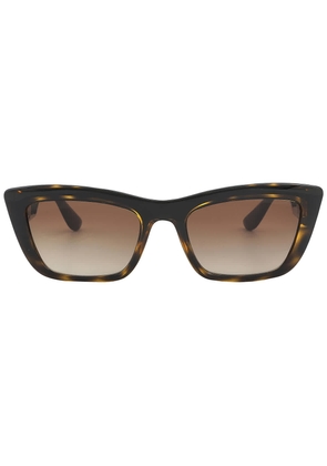 Dolce and Gabbana Gradient Brown Cat Eye Ladies Sunglasses DG6171 330613 54