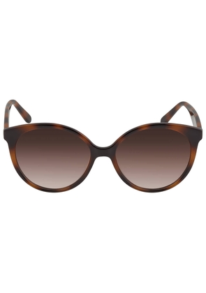 Salvatore Ferragamo Brown Gradient Round Ladies Sunglasses SF1071S 240 58