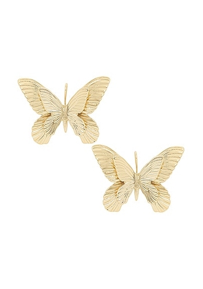 Blumarine Butterfly Earrings in Gold - Metallic Gold. Size all.