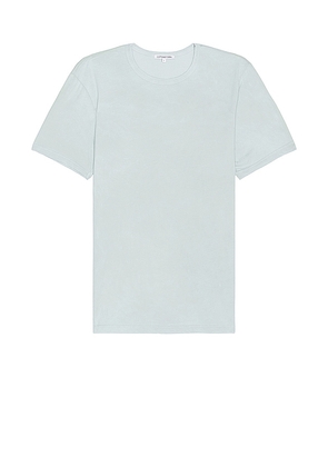 COTTON CITIZEN Classic Crew Tee in Sage. Size S, XL/1X.