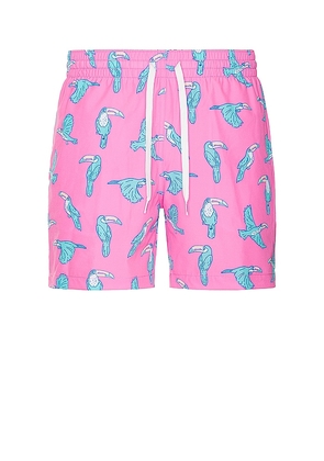 Chubbies The Toucan Do Its 5.5 Swim Short in Pink. Size S, XL/1X.