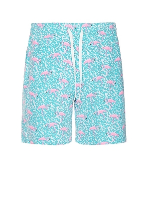 Chubbies The Domingos Are For Flamingos 7 Swim Short in Blue. Size M, S, XL/1X, XXL/2X.