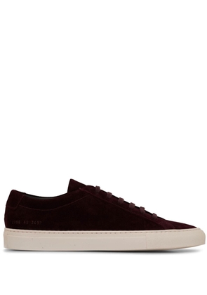 Common Projects round-toe lace-up sneakers - Brown