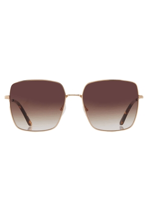 Calvin Klein Brown Gradient Square Ladies Sunglasses CK20135S 717 58