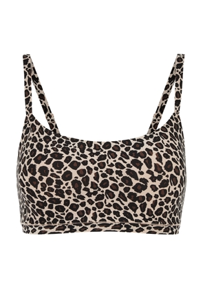 Chantelle Soft Stretch Leopard-print Padded Soft-cup bra