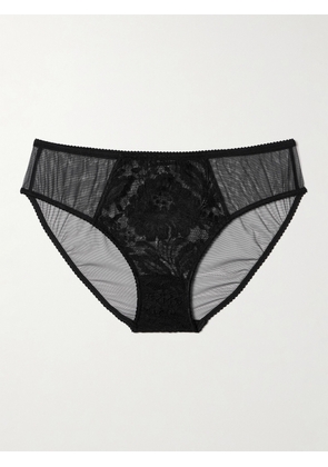 Dolce & Gabbana - Tulle And Lace Briefs - Black - 1,2,3,4
