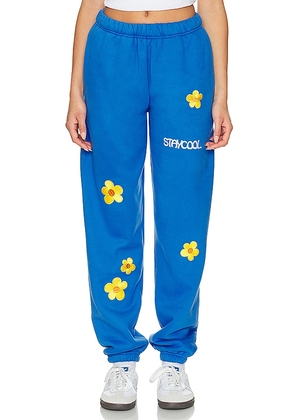 Stay Cool Sunflower Sweatpant in Blue. Size L, XL/1X.