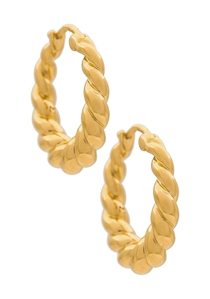 Missoma Twisted Tidal Medium Hoop Earrings in Metallic Gold.