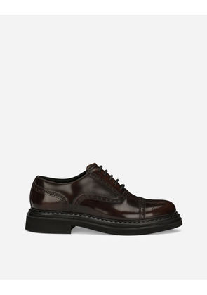 Dolce & Gabbana Brushed Calfskin Oxfords - Man Lace-ups Brown Leather 46