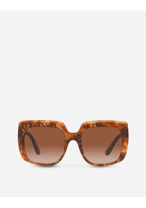 Dolce & Gabbana New Print Sunglasses - Woman Sunglasses Leo Havana Print Acetate Onesize