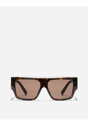 Dolce & Gabbana Dna Sunglasses - Woman Sunglasses Havana Acetate Onesize